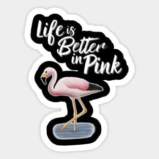 Flamingo Life Is Better In Pink Sticker